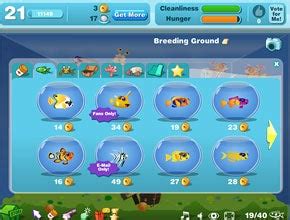 play happy aquarium without facebook.